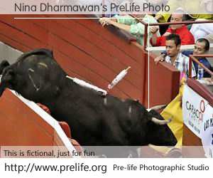 Nina Dharmawan's PreLife Photo