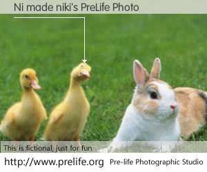 Ni made niki's PreLife Photo