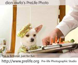 dion awfa's PreLife Photo