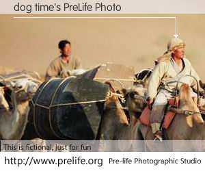 dog time's PreLife Photo