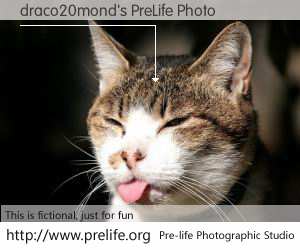 draco20mond's PreLife Photo