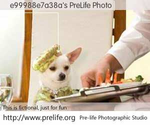 e99988e7a38a's PreLife Photo