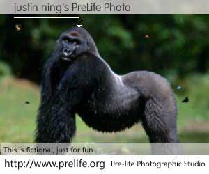 justin ning's PreLife Photo