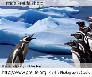 mic's PreLife Photo