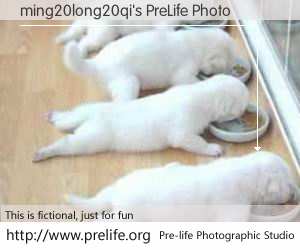 ming20long20qi's PreLife Photo
