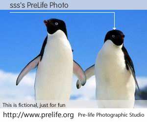 sss's PreLife Photo