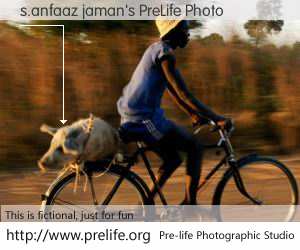 s.anfaaz jaman's PreLife Photo
