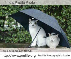 timo's PreLife Photo