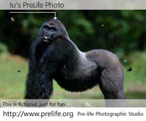 tu's PreLife Photo