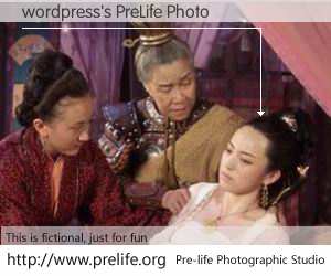 wordpress's PreLife Photo