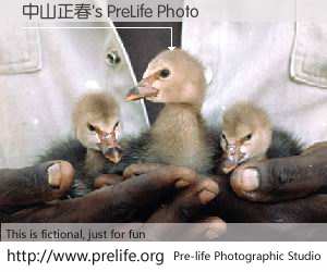 中山正春's PreLife Photo