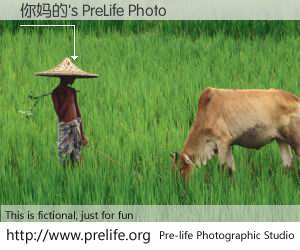 你妈的's PreLife Photo