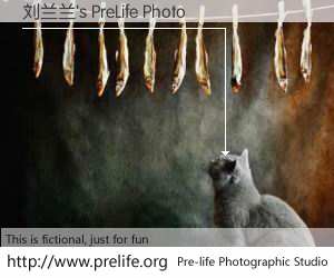 刘兰兰's PreLife Photo