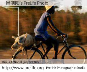 吕前阳's PreLife Photo