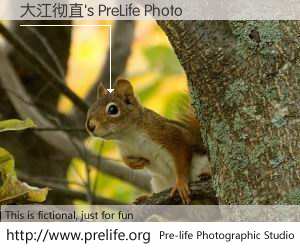 大江彻直's PreLife Photo