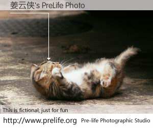 姜云侠's PreLife Photo