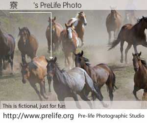 寮犳櫒's PreLife Photo