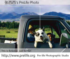 张西西's PreLife Photo