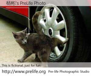 杨彬's PreLife Photo