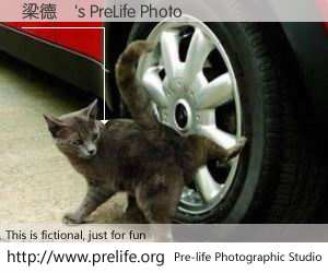 梁德華's PreLife Photo