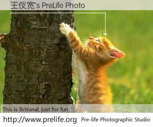 王仪宽's PreLife Photo