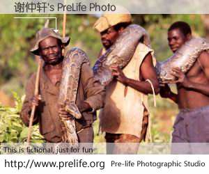 谢仲轩's PreLife Photo