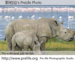 郭柏汕's PreLife Photo