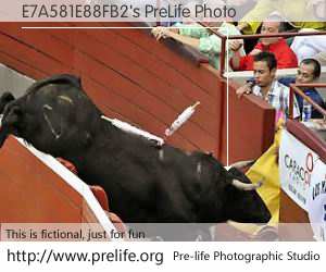 E7A581E88FB2's PreLife Photo