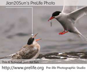 Jian20Sun's PreLife Photo