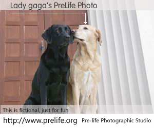 Lady gaga's PreLife Photo
