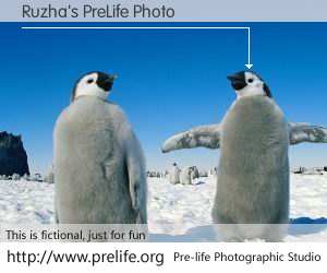 Ruzha's PreLife Photo