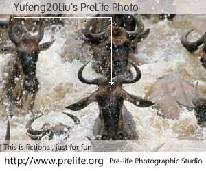 Yufeng20Liu's PreLife Photo