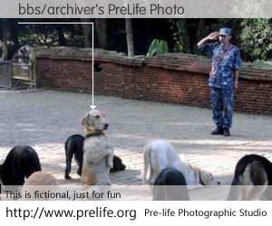 bbs/archiver's PreLife Photo