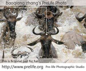 baoqiang zhang's PreLife Photo