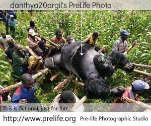 danthya20argil's PreLife Photo