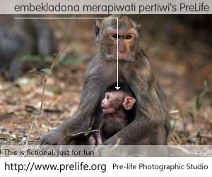 embekladona merapiwati pertiwi's PreLife Photo