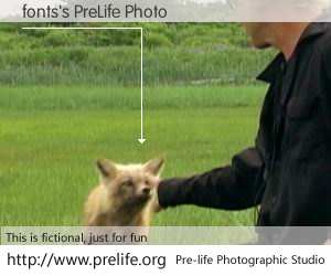 fonts's PreLife Photo