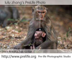 lulu zhang's PreLife Photo