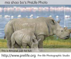 ma shao bo's PreLife Photo