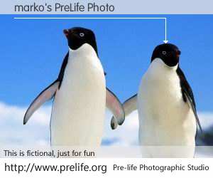 marko's PreLife Photo