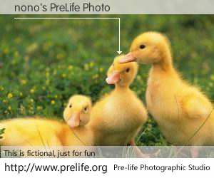 nono's PreLife Photo