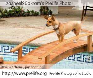 zasheel20akram's PreLife Photo