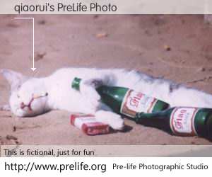 qiaorui's PreLife Photo