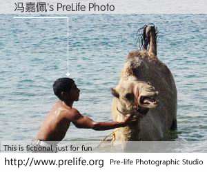 冯嘉佩's PreLife Photo