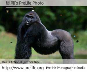 周洲's PreLife Photo