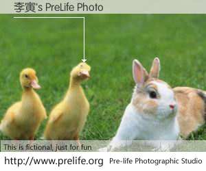 李寅's PreLife Photo