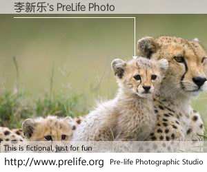 李新乐's PreLife Photo