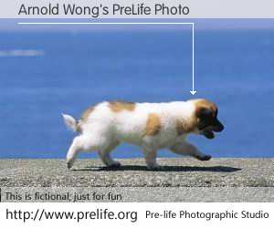 Arnold Wong's PreLife Photo