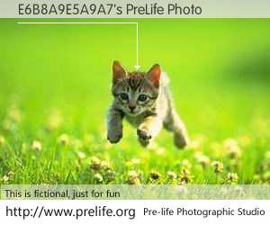 E6B8A9E5A9A7's PreLife Photo