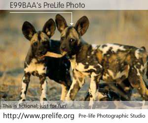 E99BAA's PreLife Photo